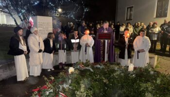 8ce77441 6075 4b31 8d26 F31ac003ab50