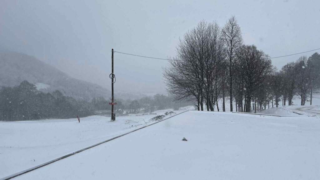 9336bd20 A9d6 4029 B774 B2ca09c89b27