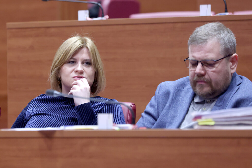 Curiš Krok (SDP): Zakon nas vraća u feudalizam, a Bačić i Plenković su feudalci