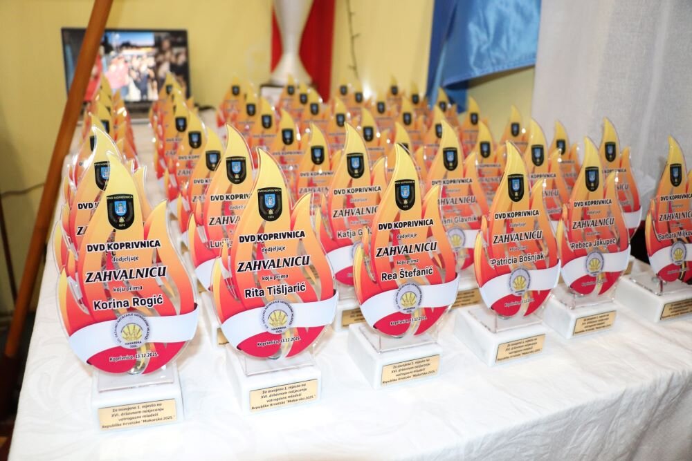 Dvd Koprivnica Mala Skupština (4)