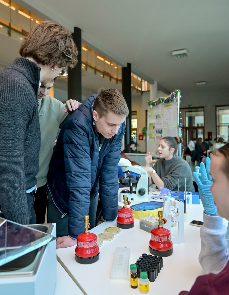 Gimnazija Obilazak (26)