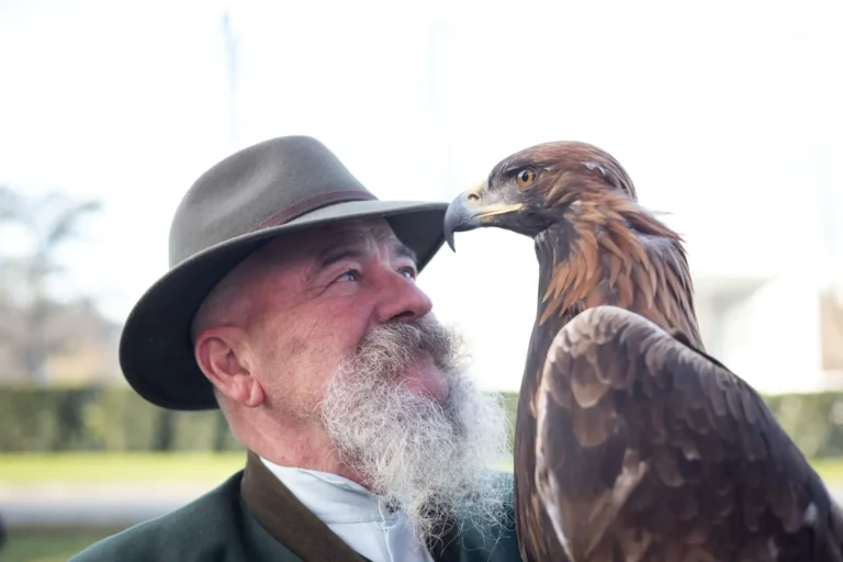 Hls 100 Obljetnica Sokolar 768x512