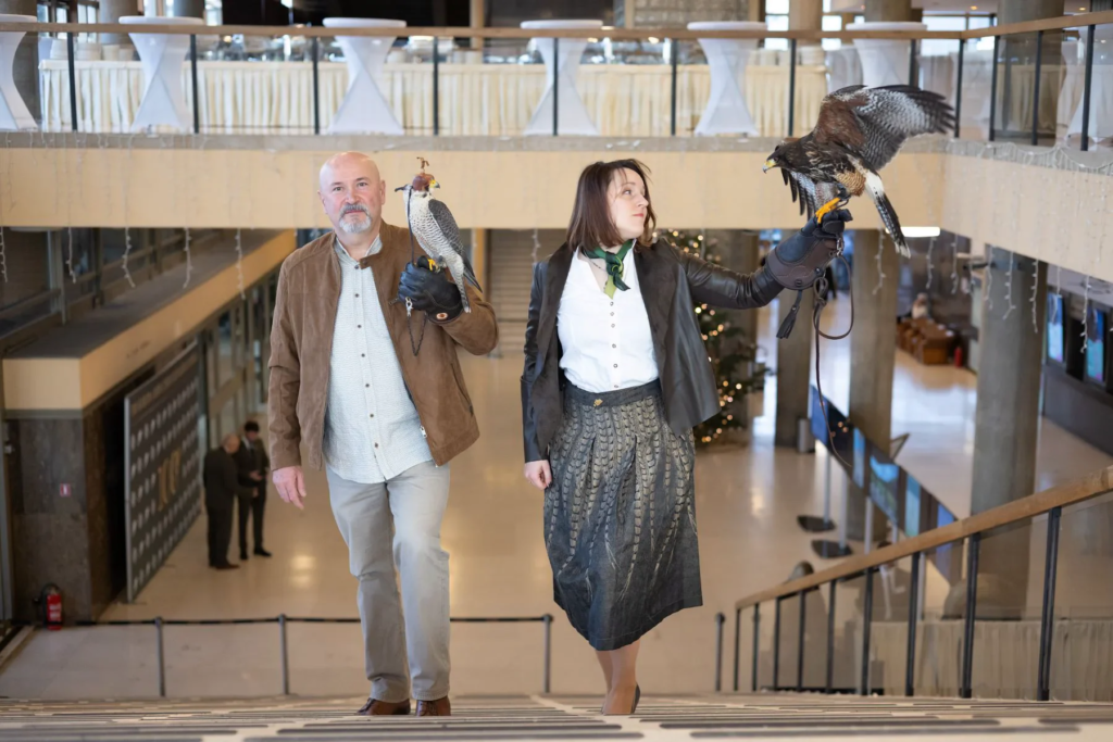 Hls 100 Obljetnica Sokolari