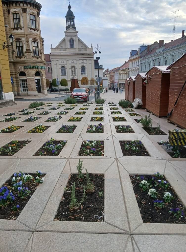 Img Bff88a3ba481cfa3a6c00113edc76b8d V