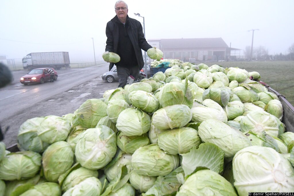 Razočarani I Ogorčeni Ratar Božidar Mušić Ljudima Podijelio 10 Tona Zelja