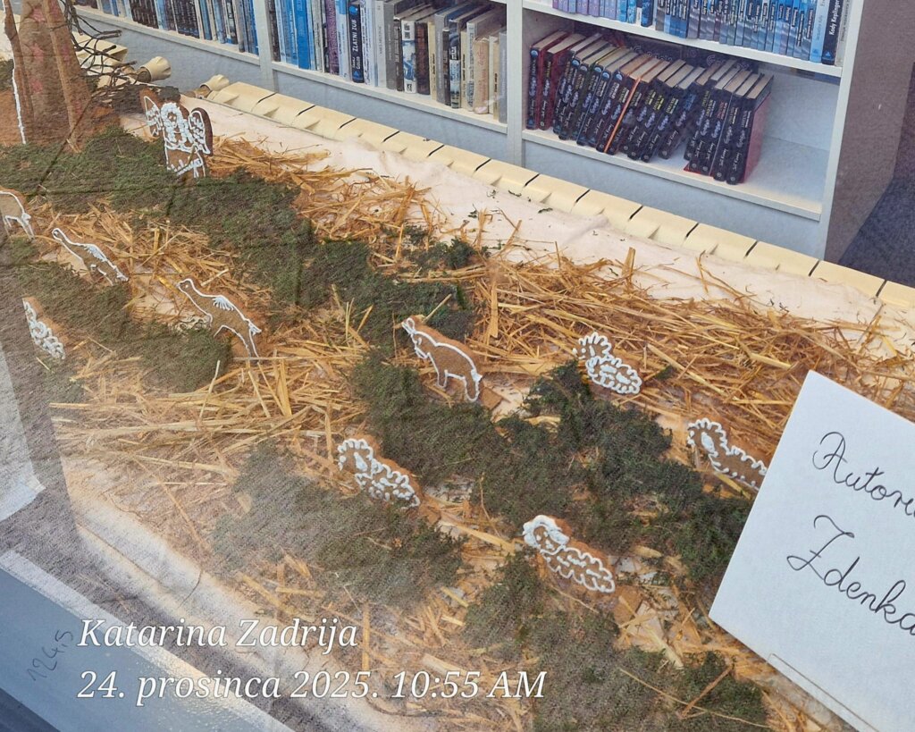 Whatsapp Image 2025 12 24 At 16.52.22