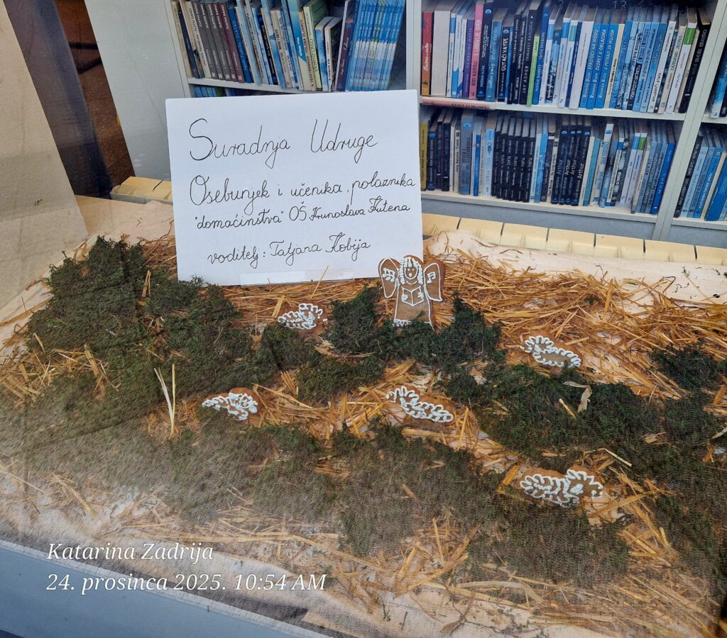 Whatsapp Image 2025 12 24 At 16.52.27 (1)