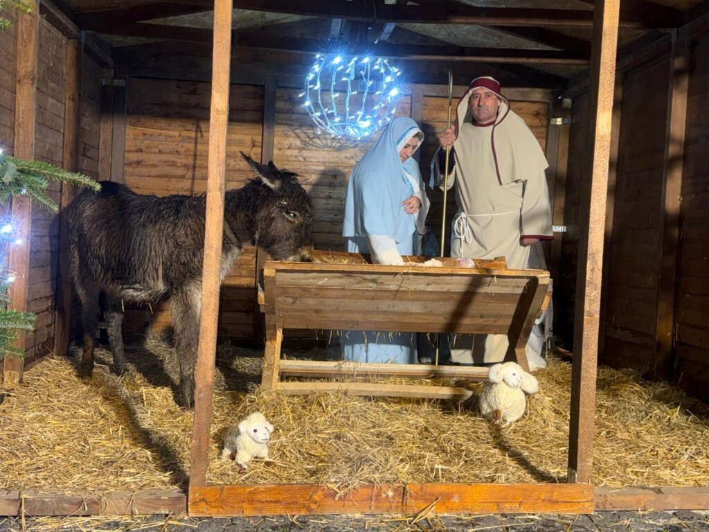 Whatsapp Image 2025 12 24 At 19.23.19 (1)