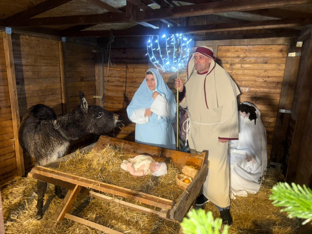 Whatsapp Image 2025 12 24 At 19.23.19