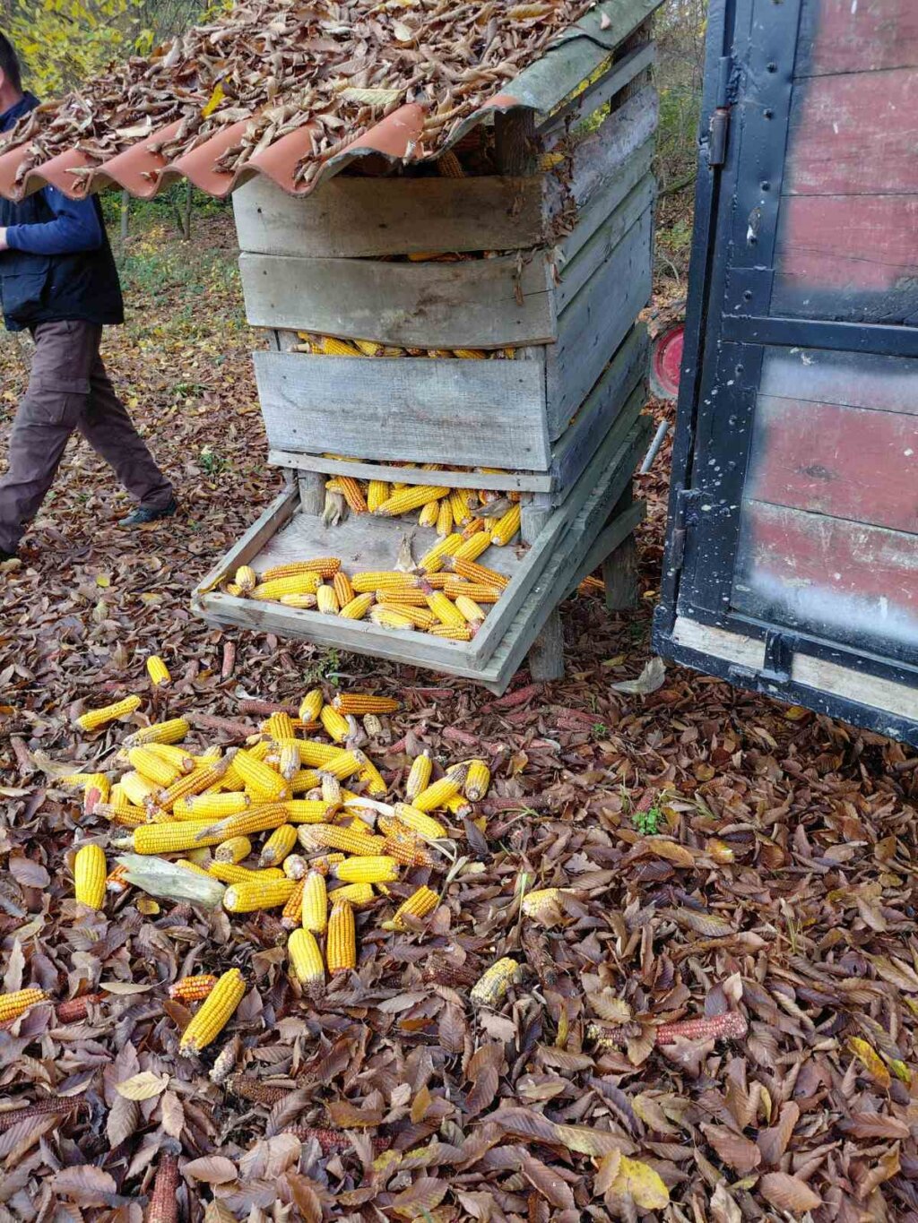 Whatsapp Image 2025 12 27 At 15.14.31 (1)