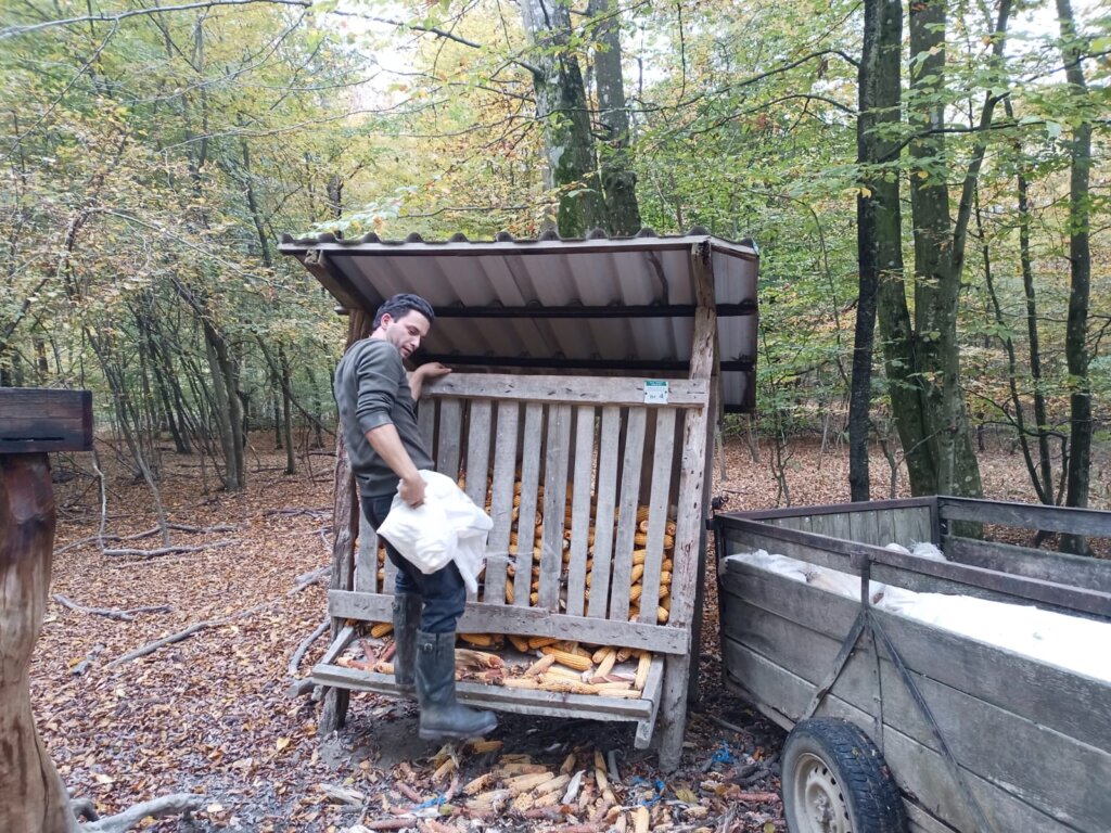 Whatsapp Image 2025 12 31 At 10.18.27 (3)