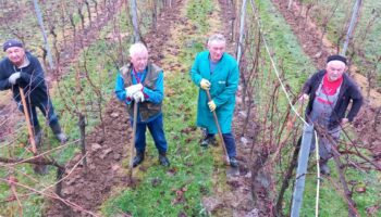 Whatsapp Slika 2025 12 04 U 09.31.32 Cfb7ec68