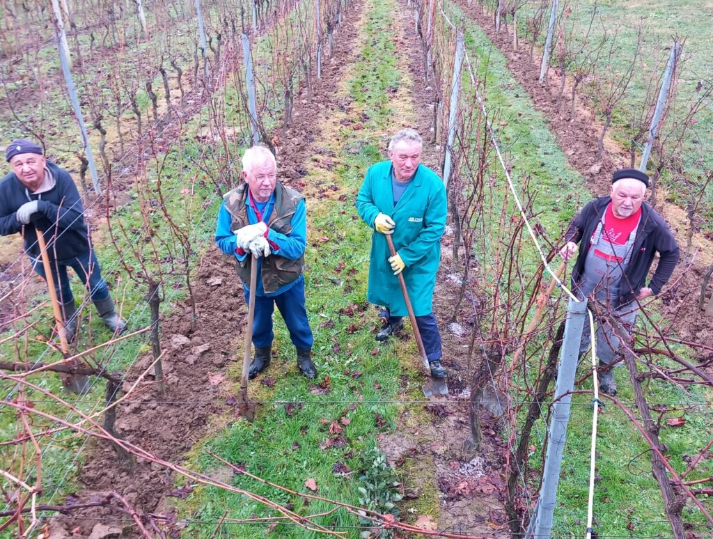 Dinko Perica prugu je zamijenio vinogradom u kojem brine o 400 trsova