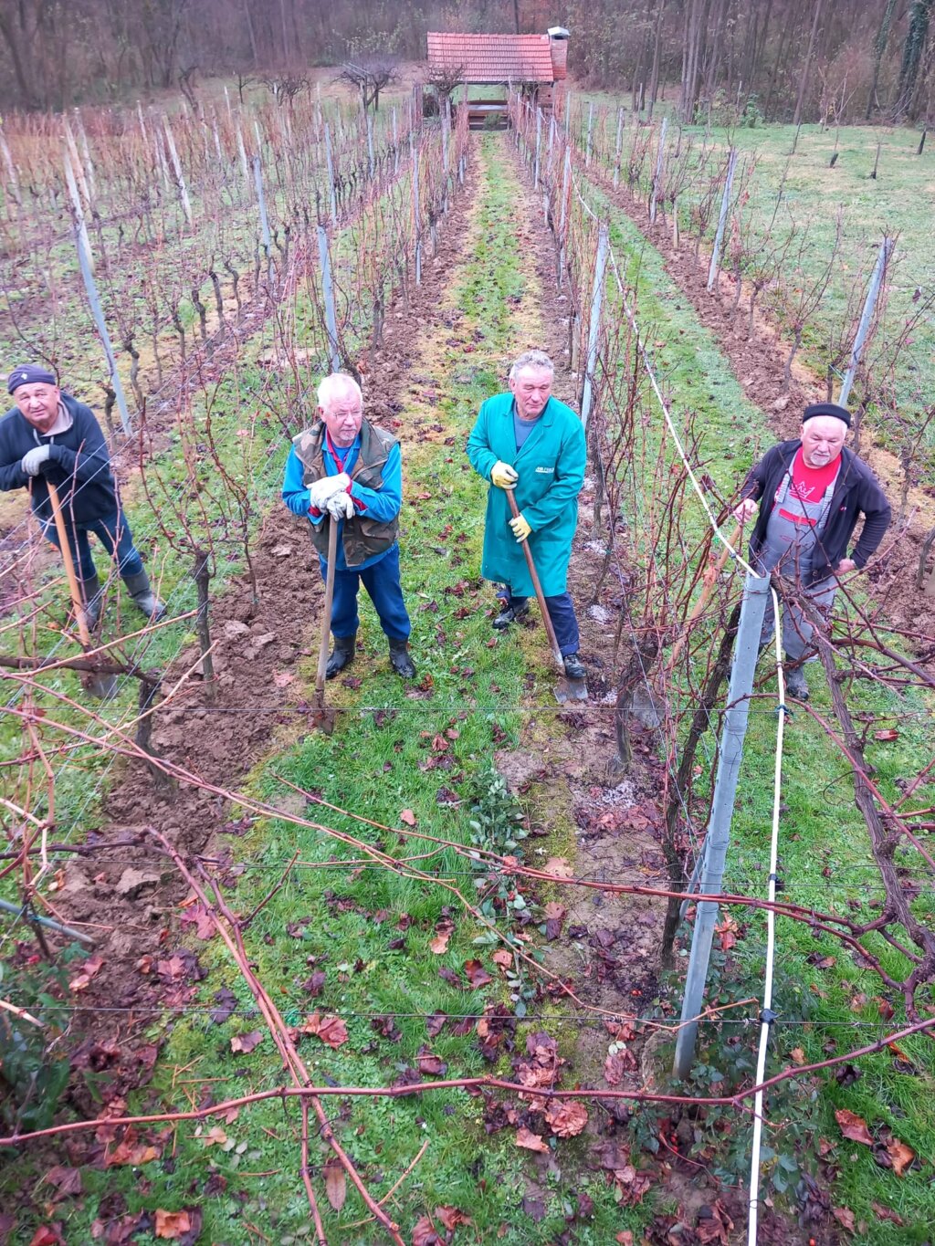 Whatsapp Slika 2025 12 04 U 09.31.32 Cfb7ec68