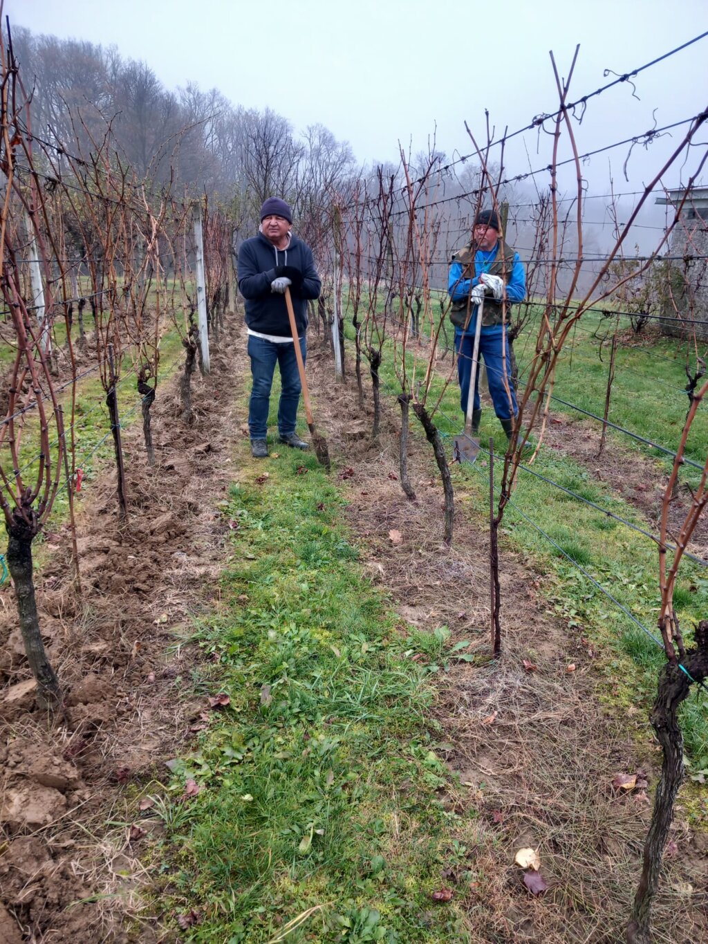 Whatsapp Slika 2025 12 04 U 09.31.33 5b0fde82