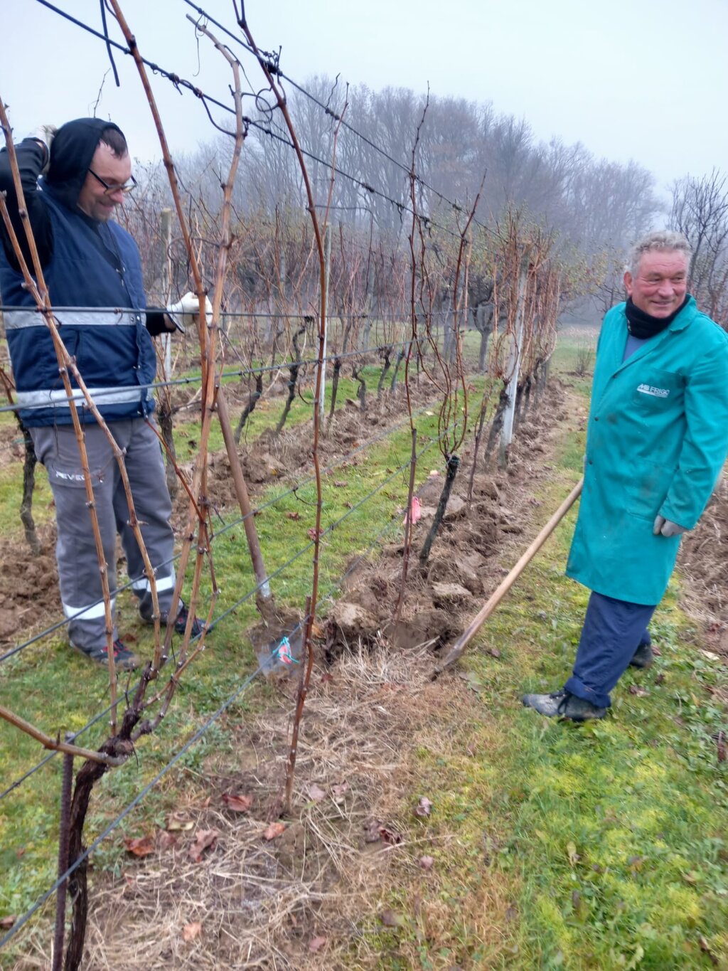 Whatsapp Slika 2025 12 04 U 09.31.33 7eb9584a