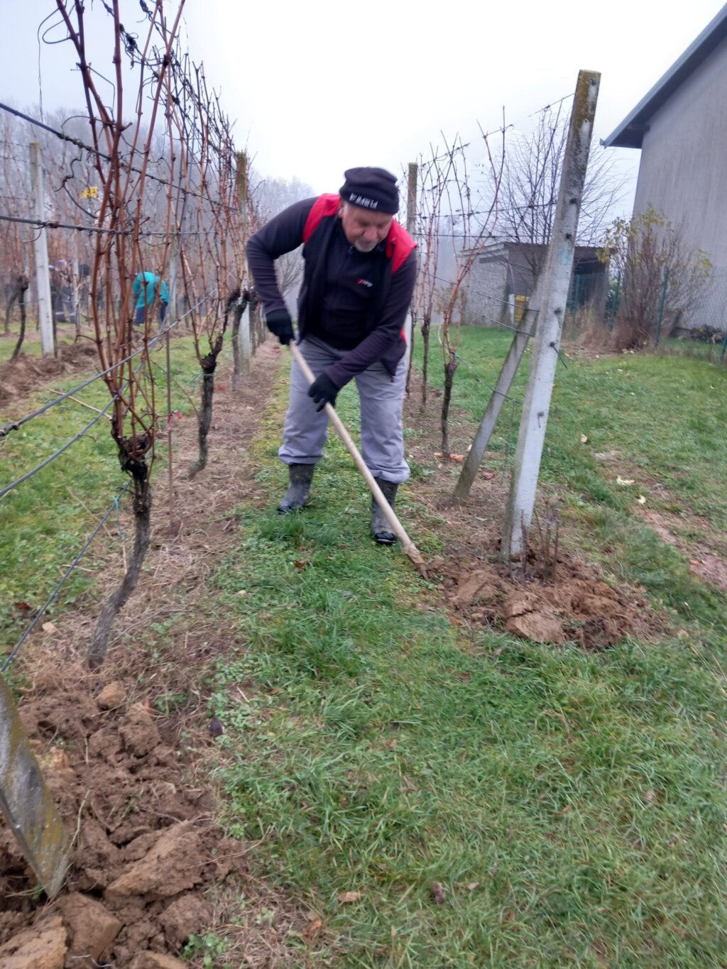 Whatsapp Slika 2025 12 04 U 09.31.33 B3c0454c