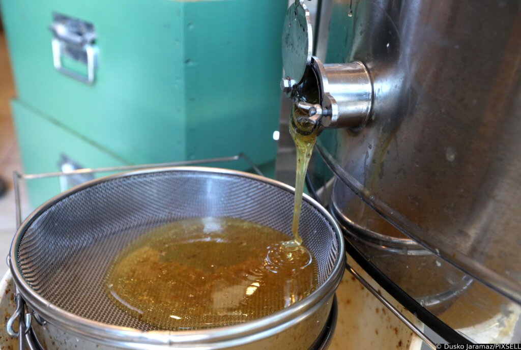 Kašljete? Ne bacajte novac na posebne lijekove, med je dovoljan