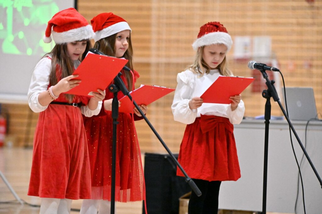 Modec12 17 19 37 46 (18)