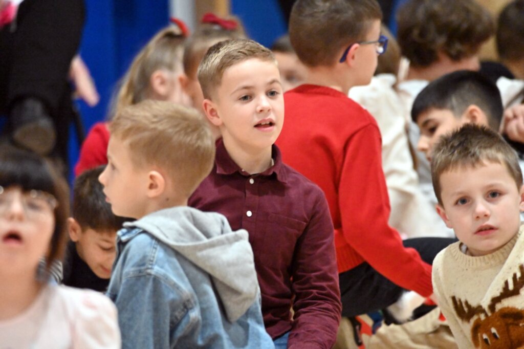 Modec12 17 19 37 46 (19)