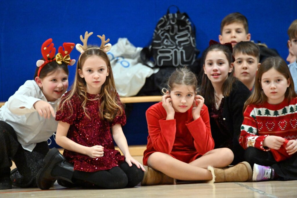 Modec12 17 19 37 46 (23)