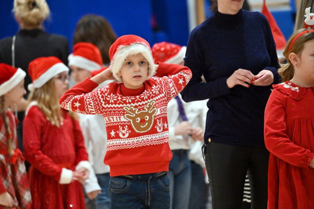 Modec12 17 19 37 46 (28)