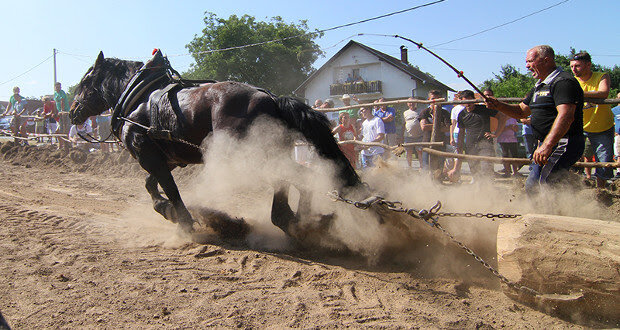 Unnamed 2025 12 22t104538.741