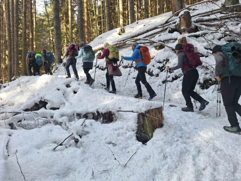 Viber Slika 2025 12 01 06 15 12 307 768x576