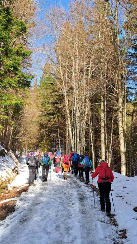 Viber Slika 2025 12 01 11 03 01 154 577x1024