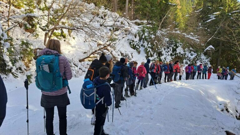 Viber Slika 2025 12 01 11 03 01 251 768x432