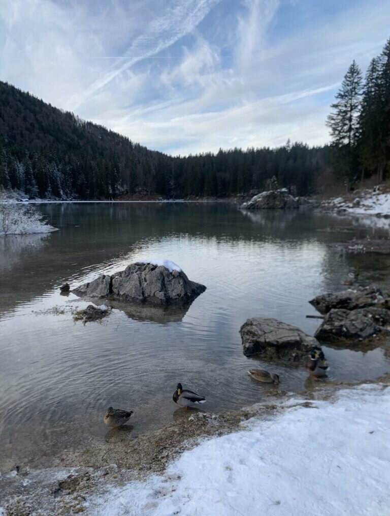 Viber Slika 2025 12 01 11 06 01 986 768x1014