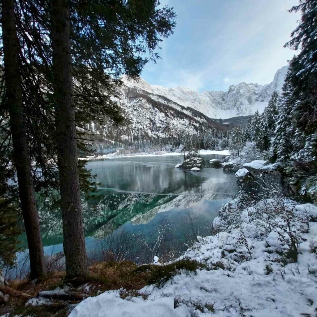 Viber Slika 2025 12 01 12 52 32 204 1536x1536