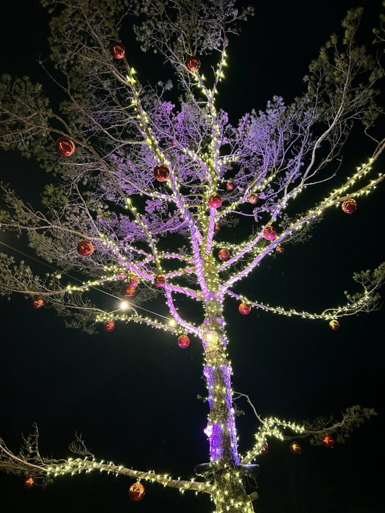 Viber Slika 2025 12 01 17 44 56 479 768x1024