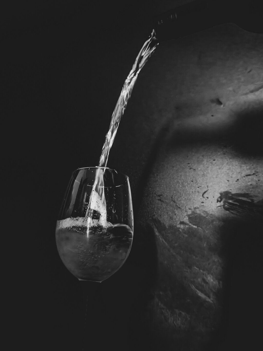 010 Nagrada Publike Niko Magdalenić, Trenutak Prije Prvoga Gutljaja