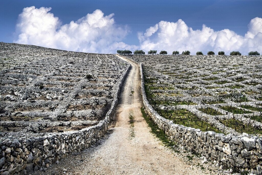 07 Prva Nagrada Tomislav Veić, Carstvo Babića