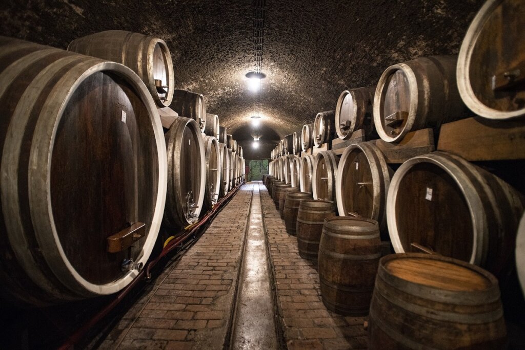 08 Druga Nagrada Domagoj Sever, Iločki Podrumi