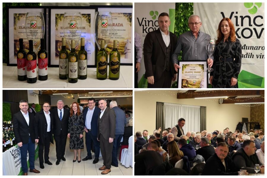 08c66898c92aae9fec702515eb9dc8e6 Xl