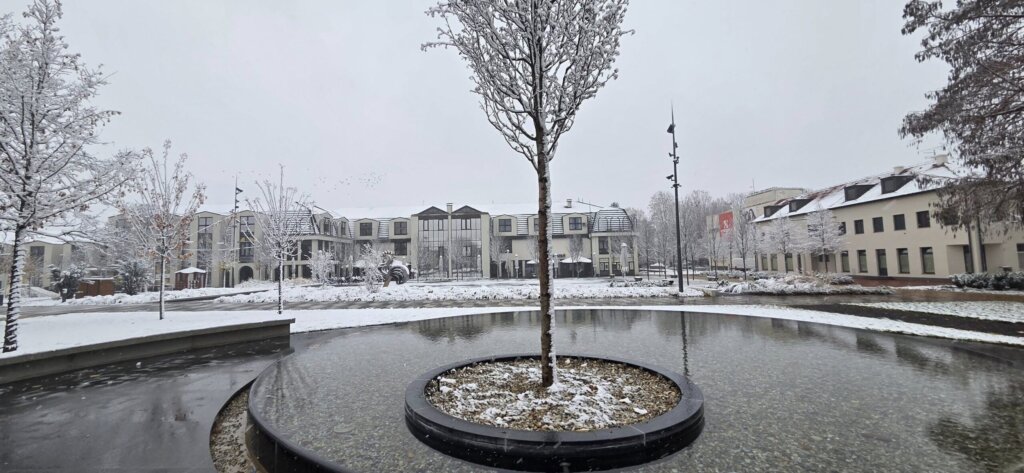 586518537 1154078343479131 9124571398126610988 N Scaled 1