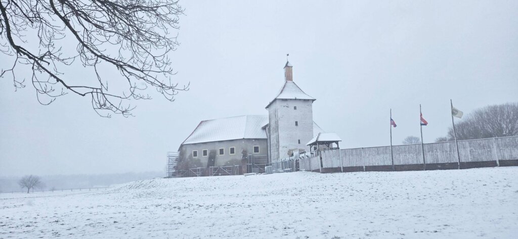 586614187 1154077300145902 7211992897940686892 N