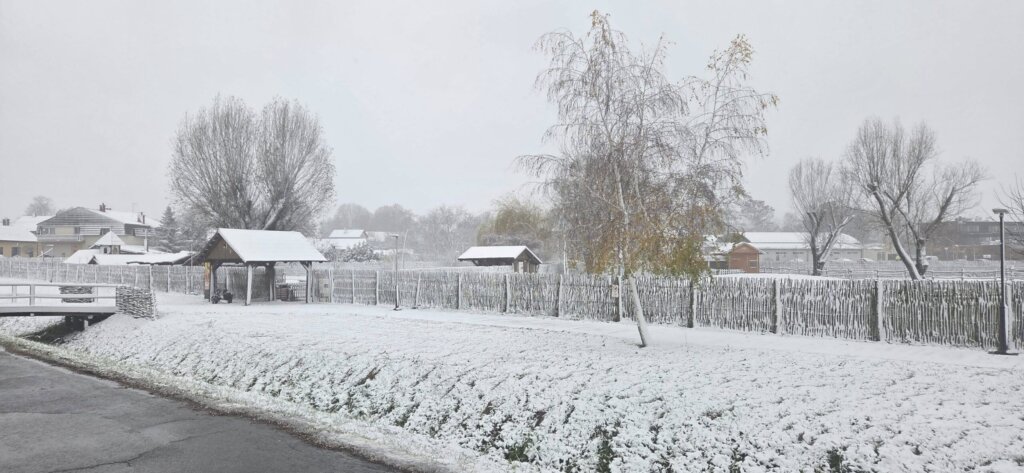 587320435 1154078886812410 3606989422013476001 N Scaled 1