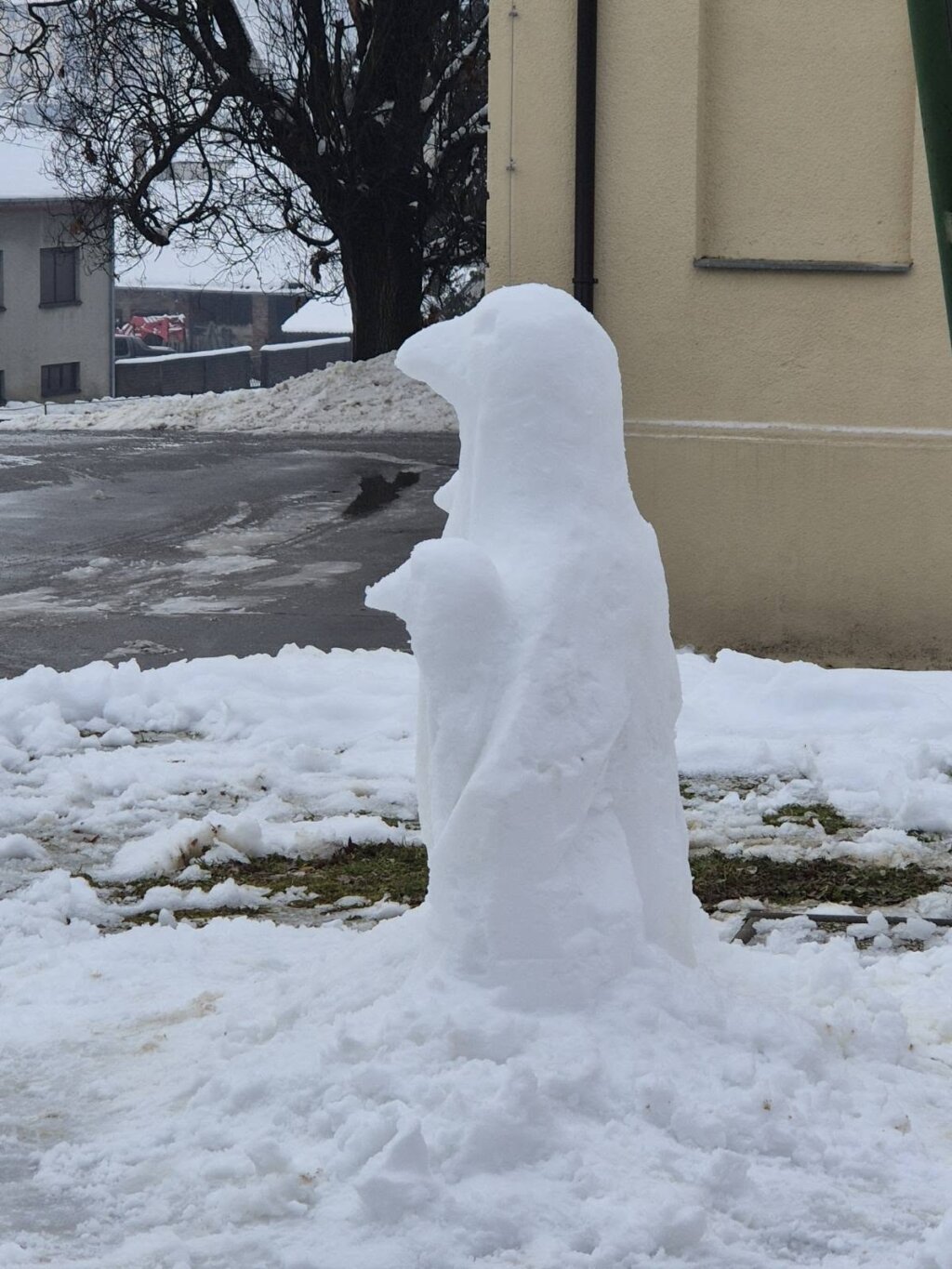 614438334 1596827172117833 6062664811624538026 N