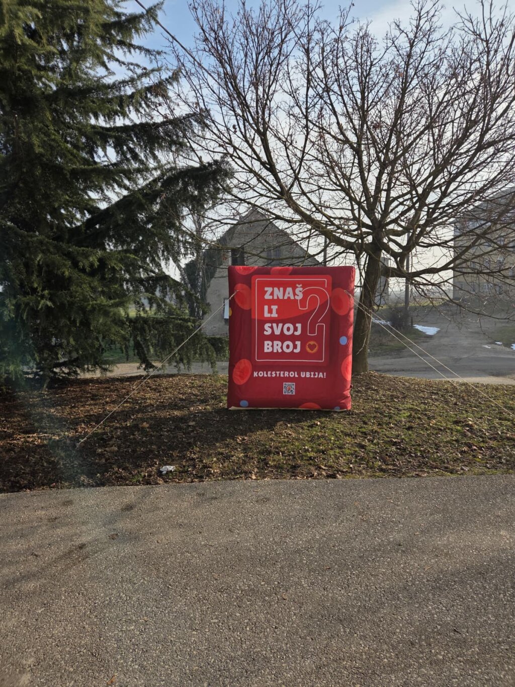 619657878 1192850822995400 1226839269039391225 N