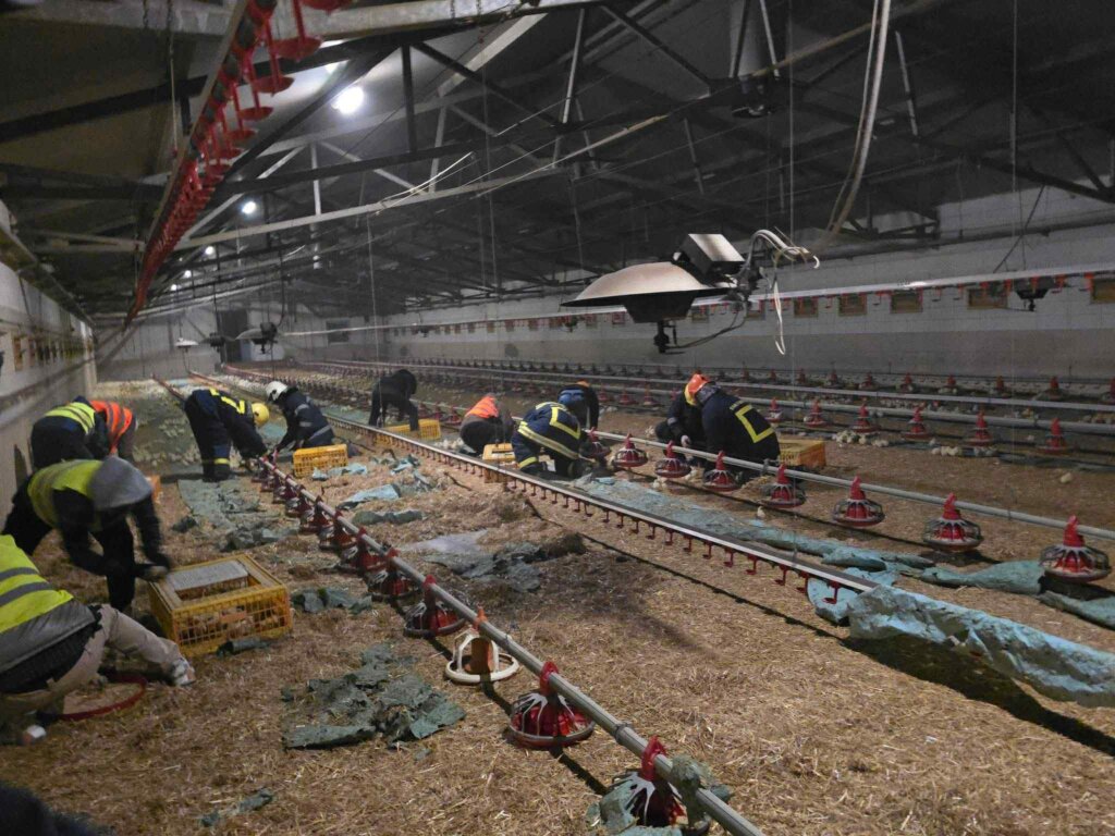 983405c2 Af1b 4a42 B1ea 54494f94fd2a