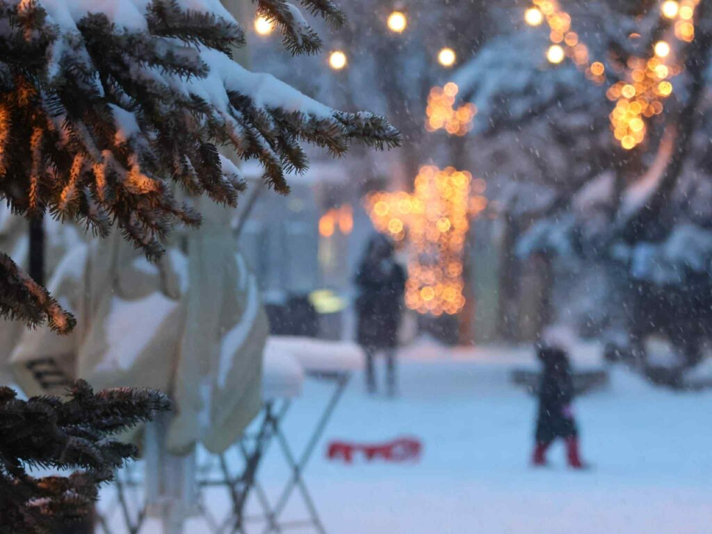 9b11e840 1b23 4eb2 Be00 08623fabf31d