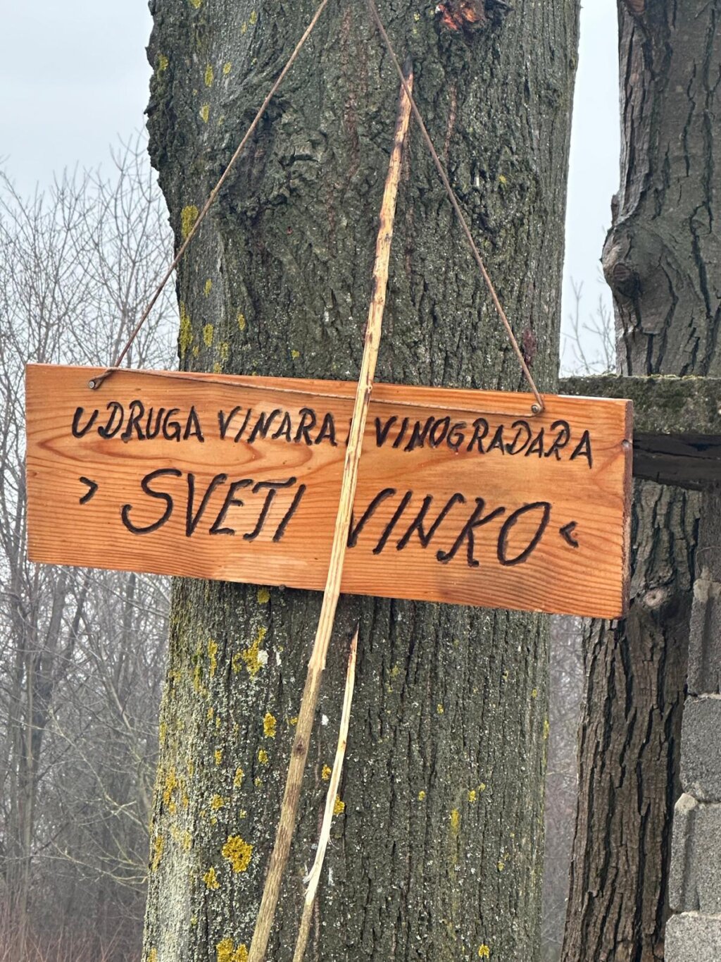 Photo 2026 01 25 14 12 12