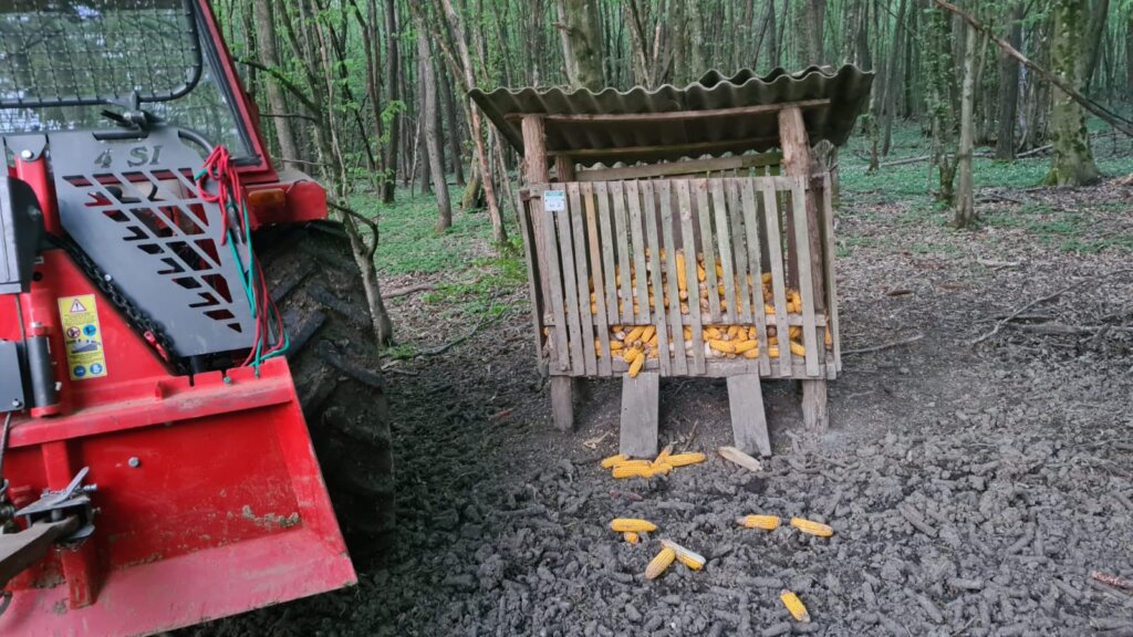 Whatsapp Image 2026 01 02 At 09.21.45 (1)