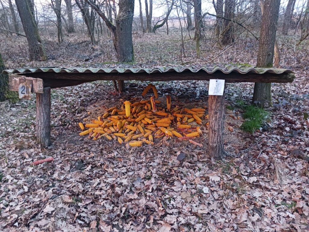 Whatsapp Image 2026 01 02 At 09.21.45