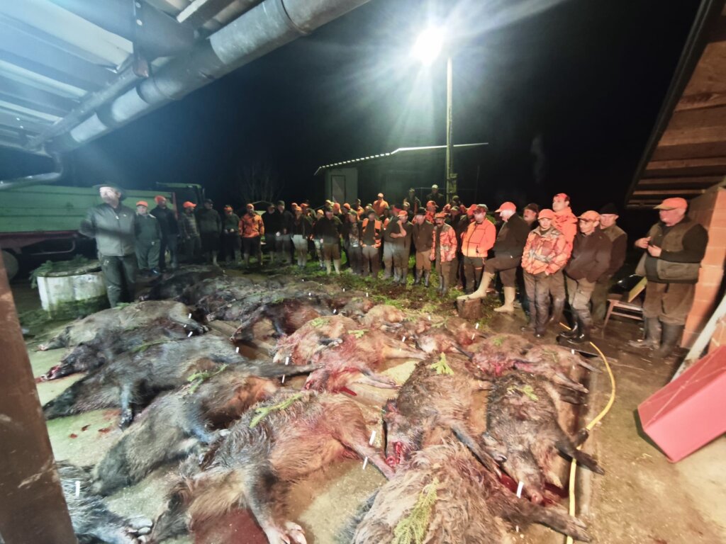 Whatsapp Image 2026 01 08 At 08.06.36