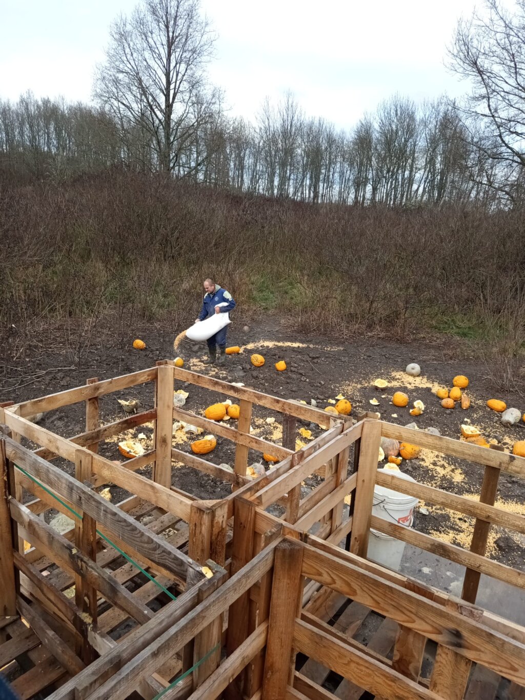 Whatsapp Image 2026 01 08 At 08.06.37 (2)