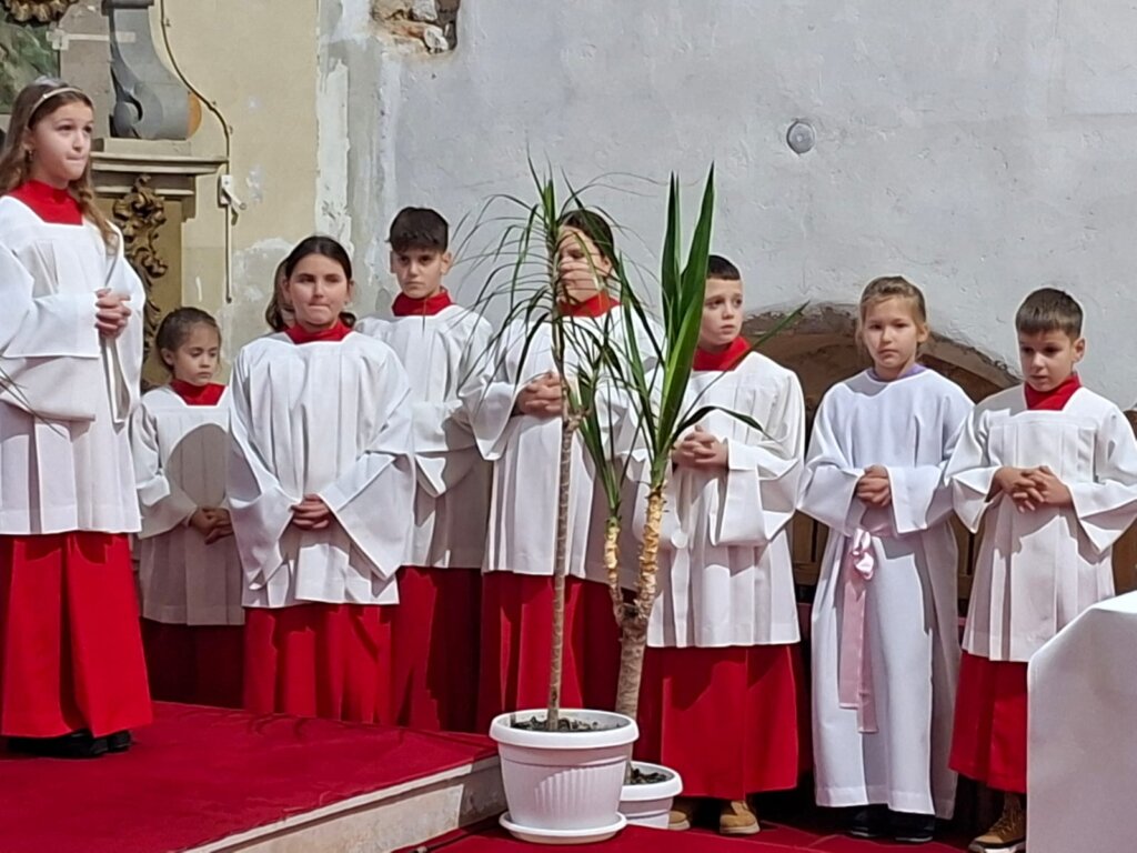 Whatsapp Image 2026 01 12 At 07.15.54 (1)